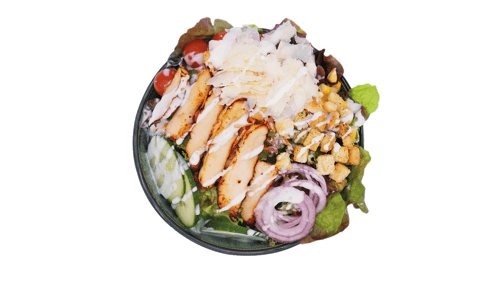 Cäsar Salat