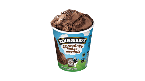 Chocolate Fudge Brownie 465ml