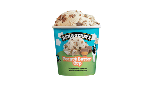 Ben & Jerry's Peanut Butter Cup Eis 465ml