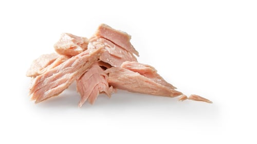 dafür Thunfisch