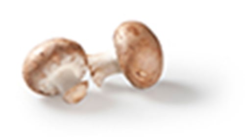 dafür  Champignons