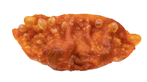 Gyoza Kimchi (4 Stück)