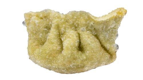 Gyoza vegan (4 Stück)