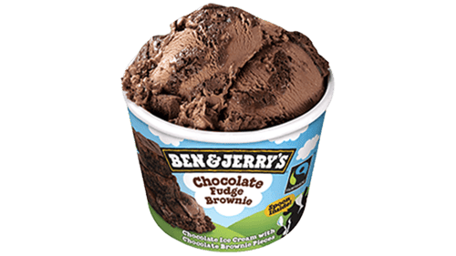 Ben & Jerry’s Chocolate Fudge Brownie 100ml