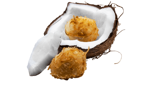 Kokosnuss-Bällchen (4 Stück)