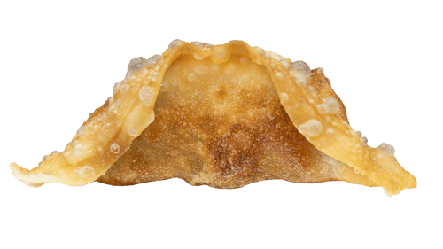 Gyoza Huhn (4 Stück)