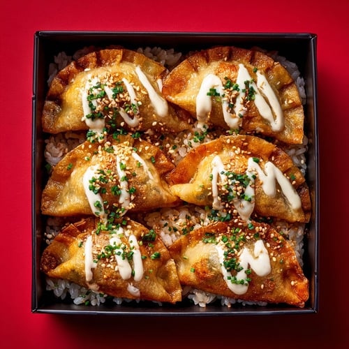 Dumpling Chicken Rice