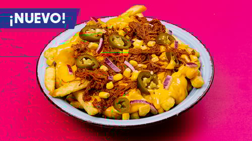Loaded Fries Pulled Beef