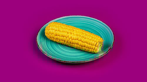 Sweet Corn