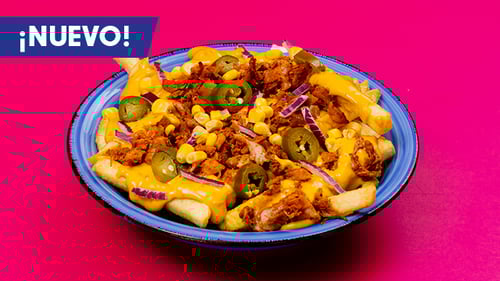 Loaded Fries Grilled Chicken