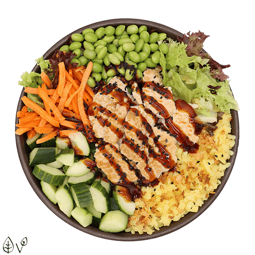 Teriyaki Planted.Chicken Salat (normal)