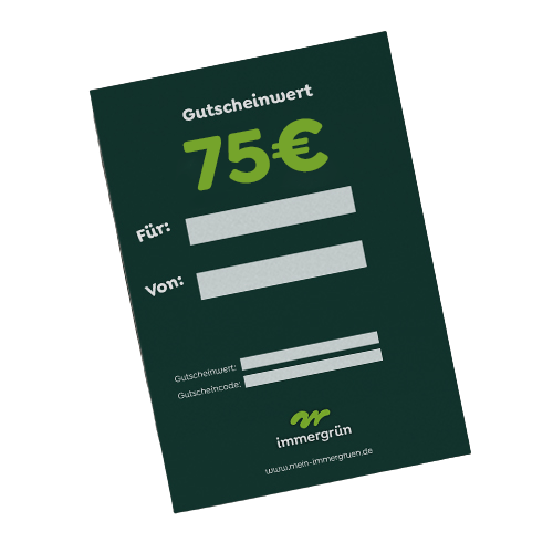 Geschenkgutschein 75 €