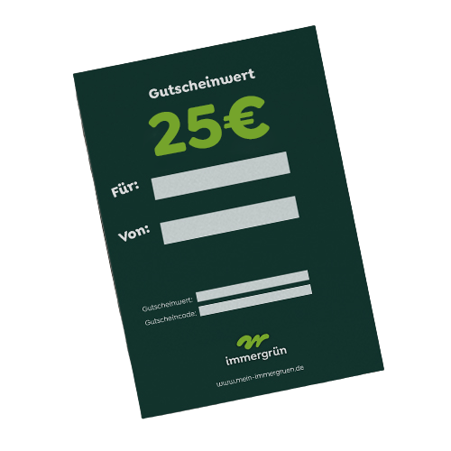 Geschenkgutschein 25 €