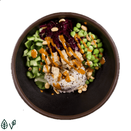 Soya Power Reis (klein)