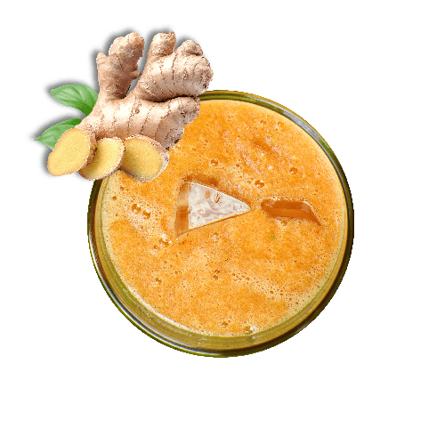 Ingwer-Apfel-Shot (0,25l)