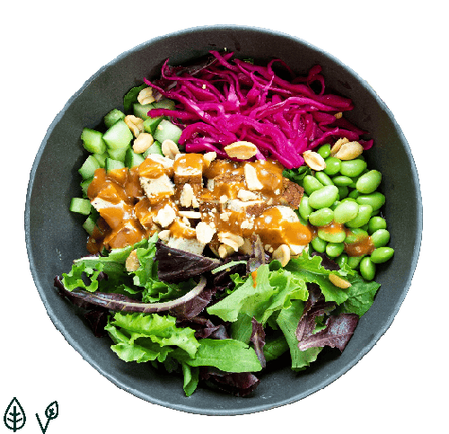 Soya Power Salat (normal)