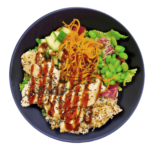Teriyaki Chicken Salat (klein)
