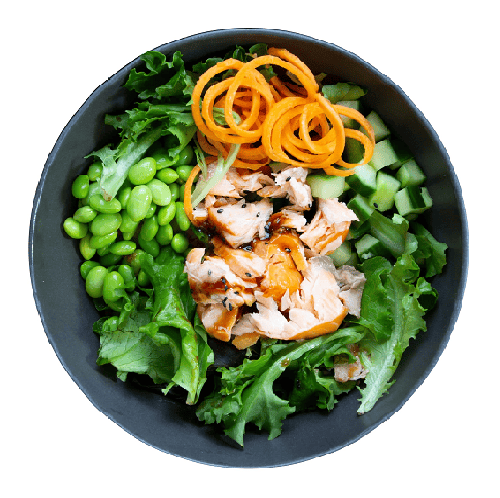 Lachsfang Salat (klein)