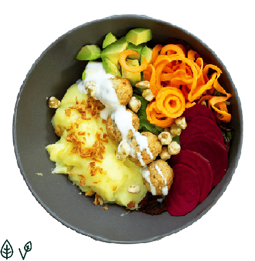 Falafel Freunde Kartoffel (klein)