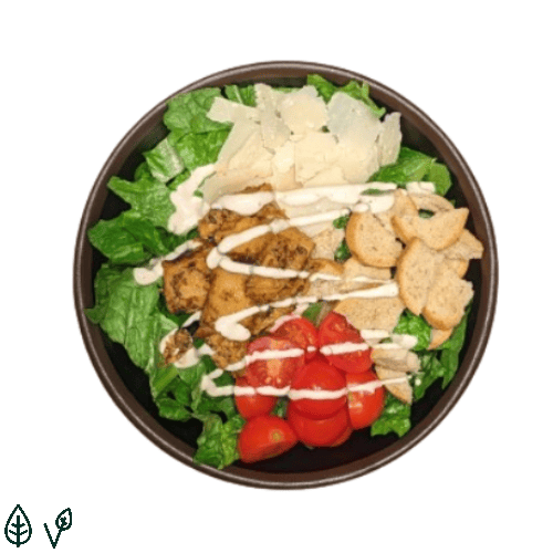 Planted Caesar Salat Bowl 