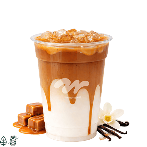 Iced Caramel Vanilla Coffee (0,4l)