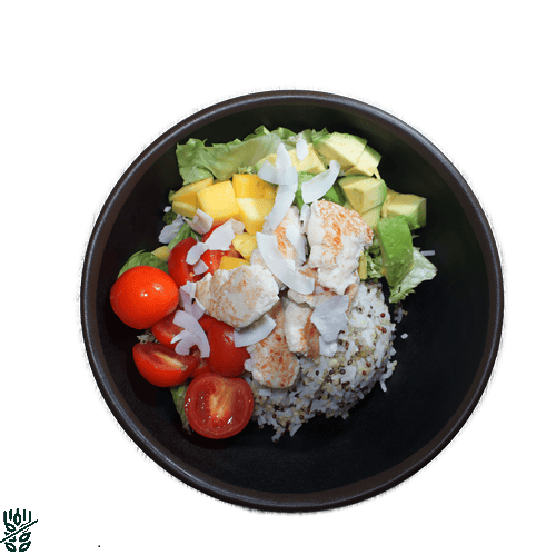 Paradiesvogel Reis (normal)