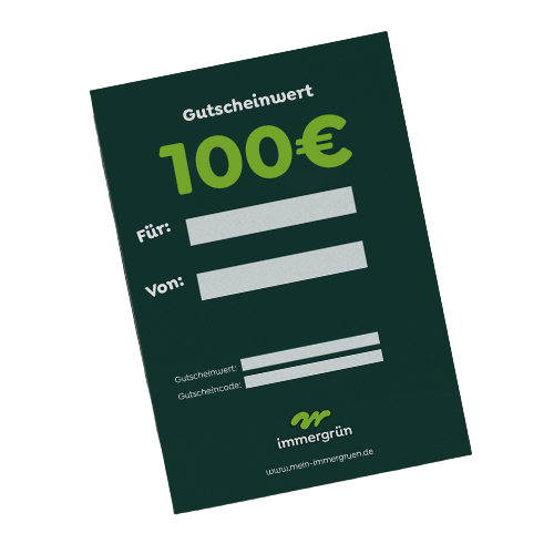 Geschenkgutschein 100 €