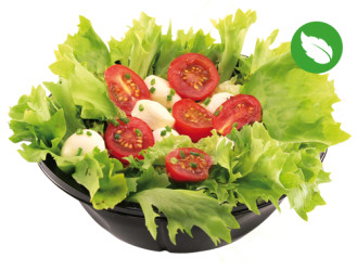 Snack Salat