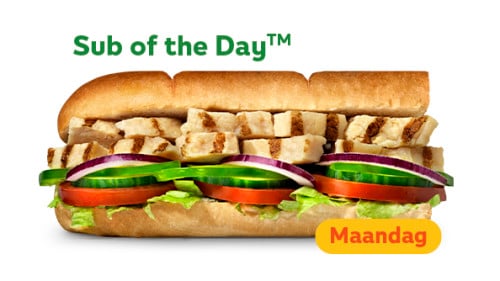 Sub of the day - Chicken Filet 15cm
