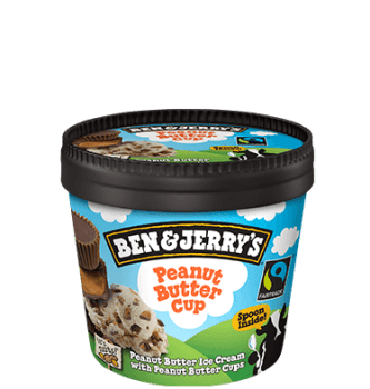 Ben & Jerry's Peanut Butter Cup (100ml)