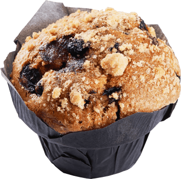 Blueberry Muffin