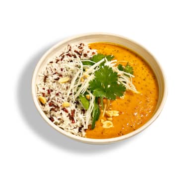 indian curry bowl