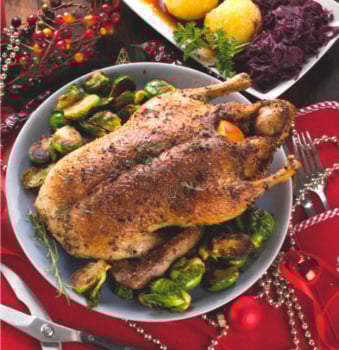 Weihnachtsgans Weihnachtsgans