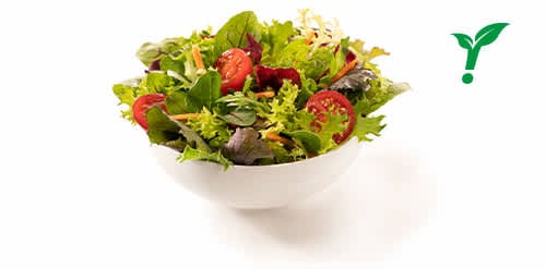 Kleiner saisonaler Salat