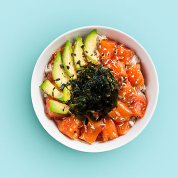 SALMON ADDICT SALMON ADDICT