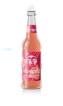 Fritz-Spritz Bio Rhabarberschorle 0,33l