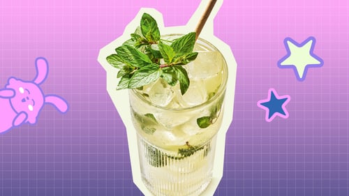 Durstlöscher Yuzu-Minze  0,5l