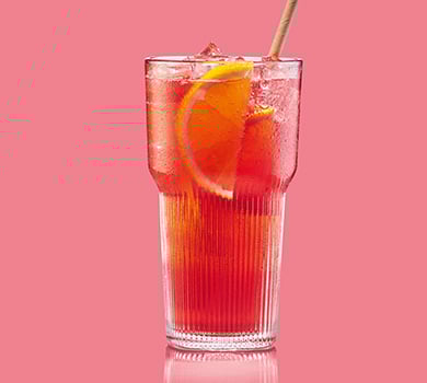 Durstlöscher Cranberry-Zimt  0,5l