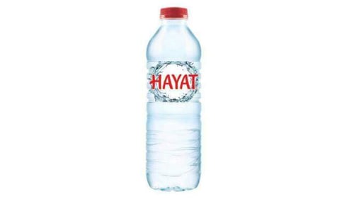 Wasser Still  0,5l