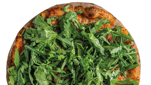 VEGAN Rucola