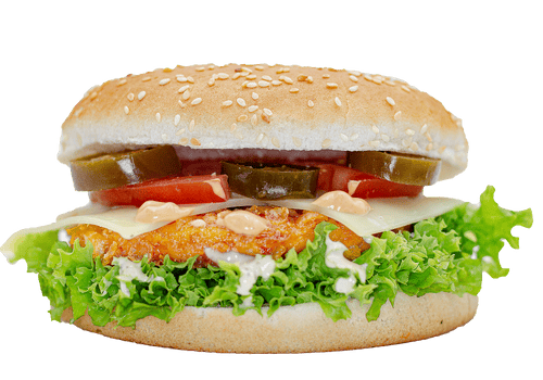 Hot Chicken Burger