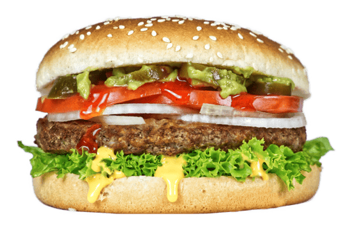 Sinaloa Burger
