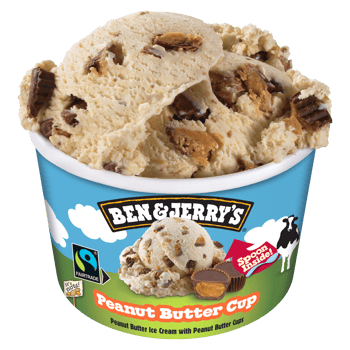 BEN AND JERRY'S PEANUT BUTTER CUP 100 ml