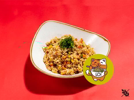 Kids Chicken Fried Rice