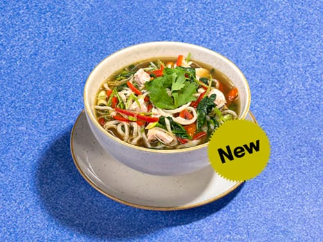 Udon & Chicken Thai Noodle Soup