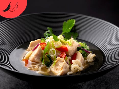 Udon & Chicken Thai Noodle Soup