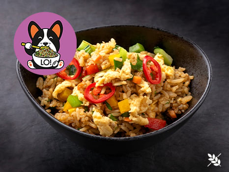 Kids Chicken Fried Rice