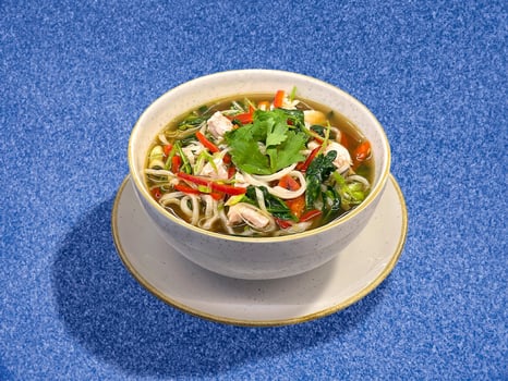 Udon & Chicken Thai Noodle Soup