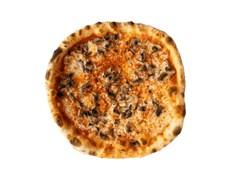 Funghi 