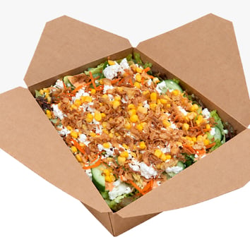 Salat-Box fresh Erika Salat-Box fresh Erika